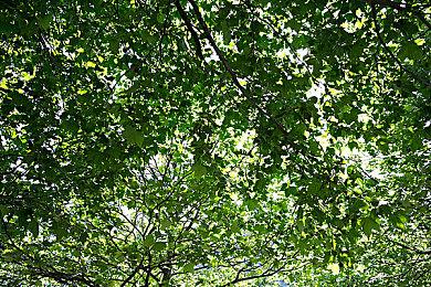 《侍魂：晓》网络回滚代码公开B测明年1月开始