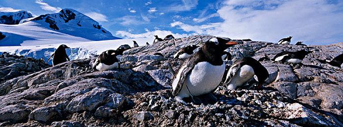 第一人称《办公逝地狱》今年Q4登陆主机 EA版特别好评