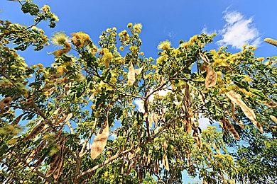 3DM速报： Steam Deck首批2月26日开售 《孤岛危机4》确认开发中